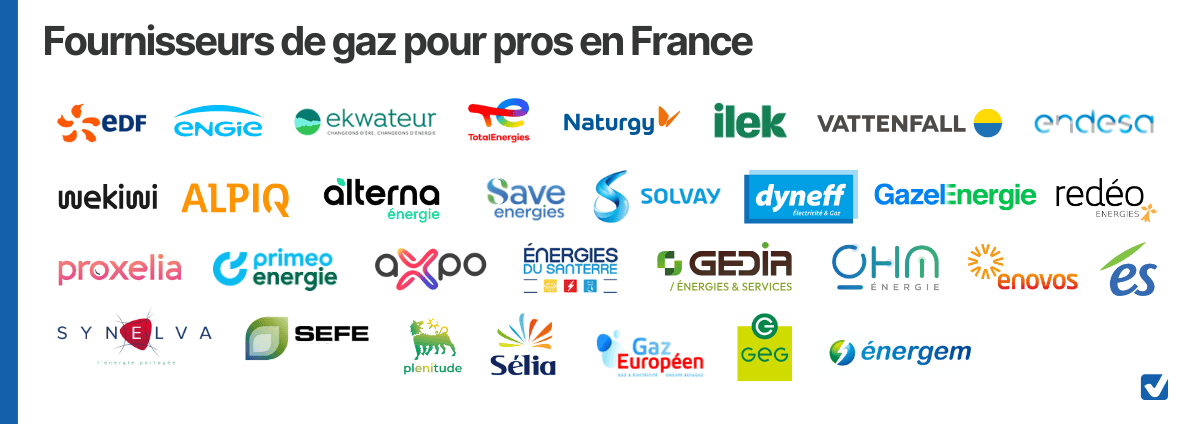 fournisseurs gaz professionnels