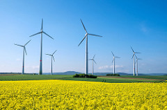 eoliennes-champ-colza
